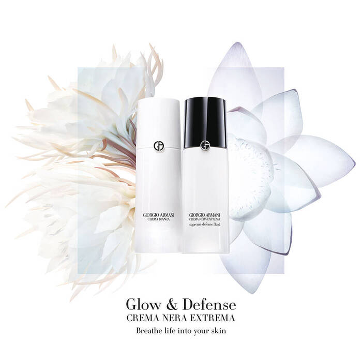 Giorgio sales armani serum